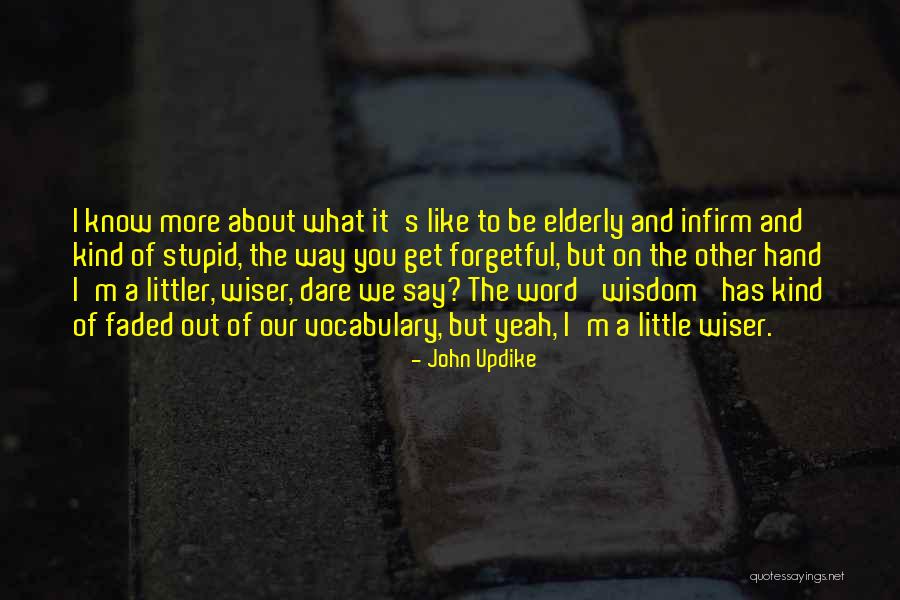 Bacci Stoneham Quotes By John Updike Bacci Stoneham Quotes By John Updike