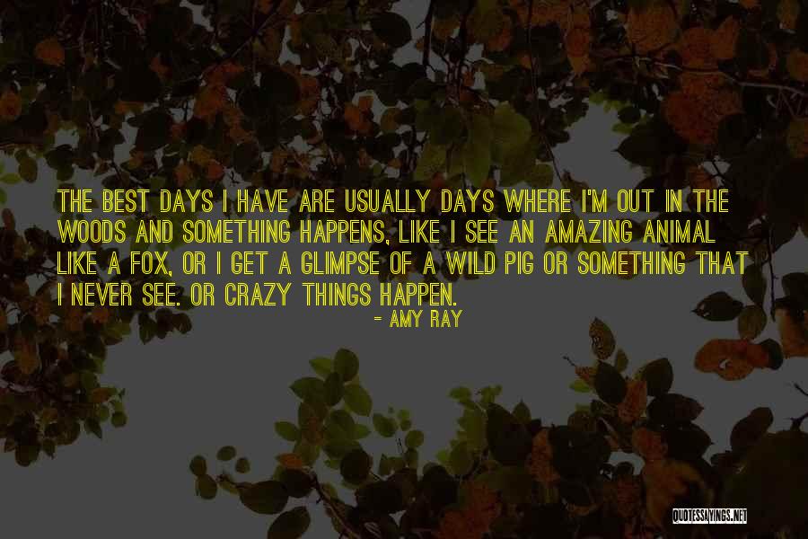 Bacharach Physical Therapy Quotes By Amy Ray Bacharach Physical Therapy Quotes By Amy Ray