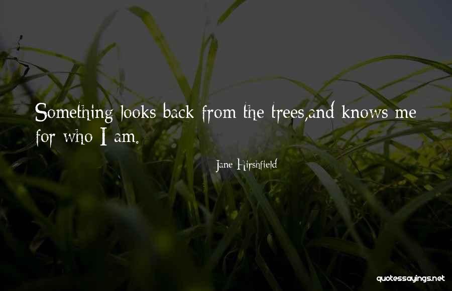Bachetti Racing Quotes By Jane Hirshfield Bachetti Racing Quotes By Jane Hirshfield