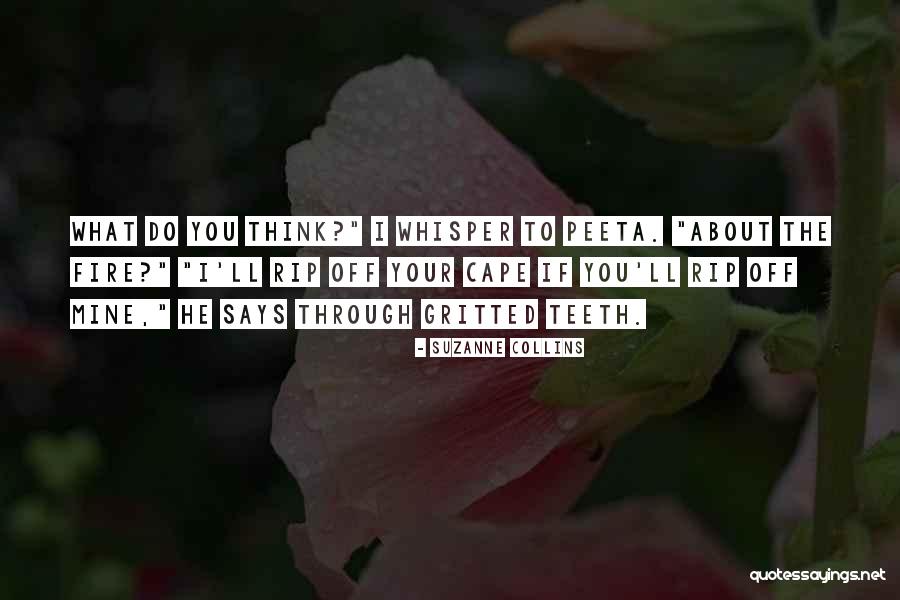 Bachir Quotes By Suzanne Collins Bachir Quotes By Suzanne Collins