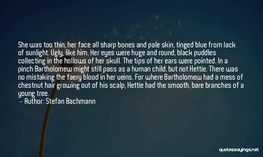 Bachmann Quotes By Stefan Bachmann