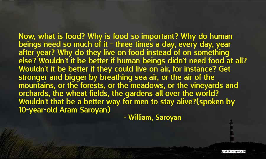 Bacik Pickles Quotes By William, Saroyan Bacik Pickles Quotes By William, Saroyan