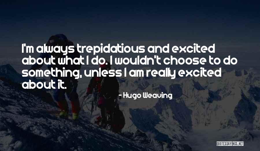 Baciocchi And Paganini Quotes By Hugo Weaving Baciocchi And Paganini Quotes By Hugo Weaving
