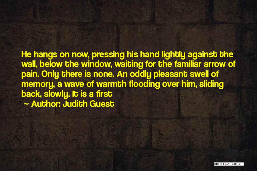 Back Against The Wall Quotes By Judith Guest