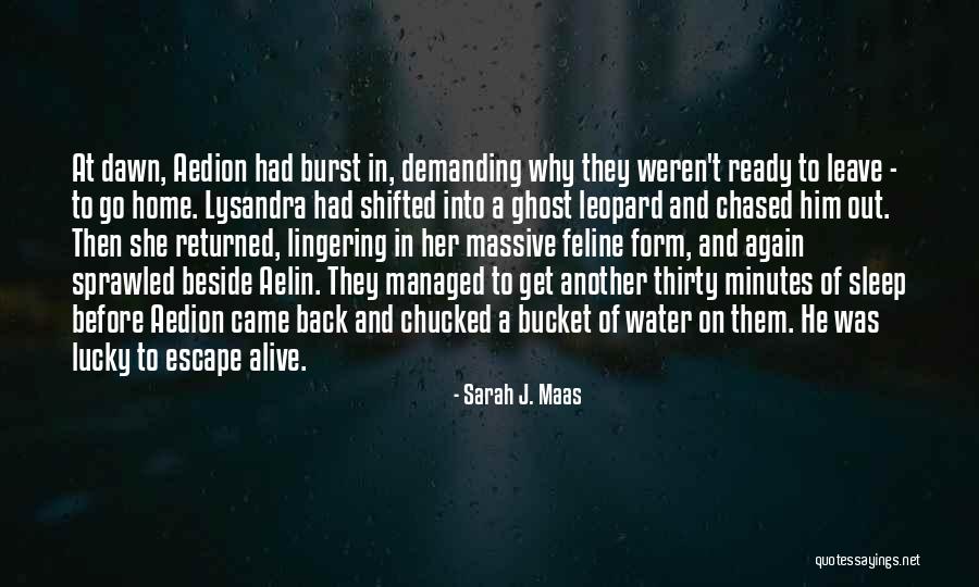Back At Home Quotes By Sarah J. Maas Back At Home Quotes By Sarah J. Maas