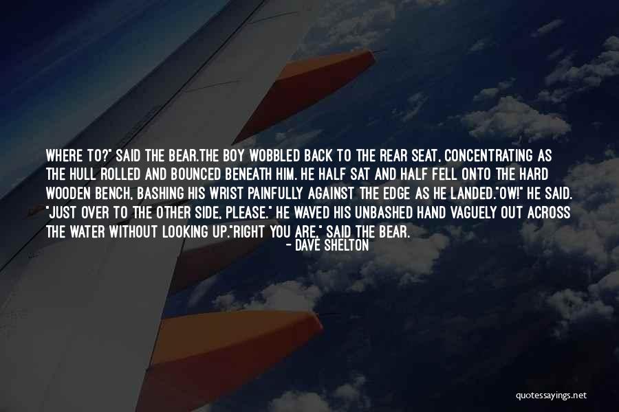 Back Bench Quotes By Dave Shelton Back Bench Quotes By Dave Shelton
