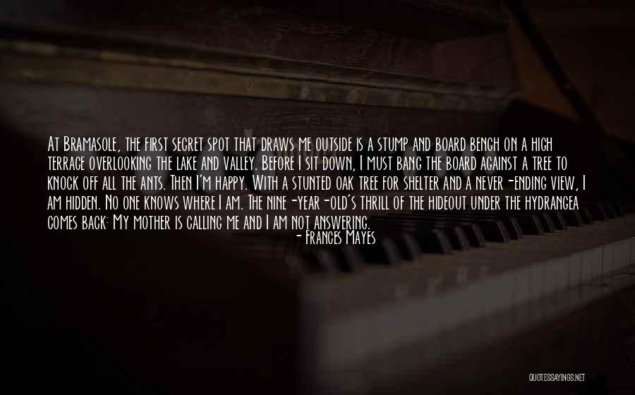Back Bench Quotes By Frances Mayes Back Bench Quotes By Frances Mayes