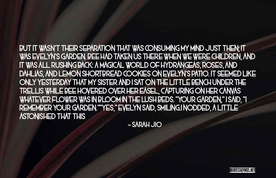 Back Bench Quotes By Sarah Jio Back Bench Quotes By Sarah Jio