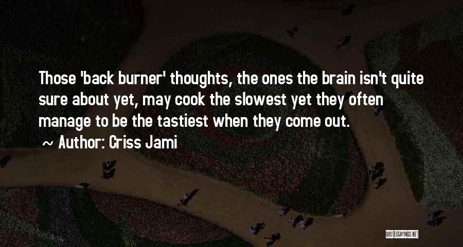 Back Burner Quotes By Criss Jami