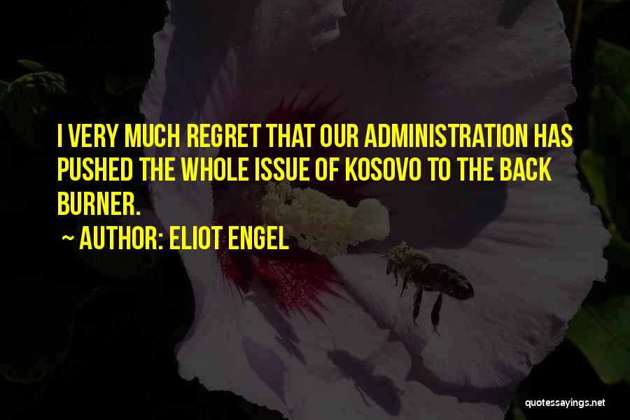 Back Burner Quotes By Eliot Engel