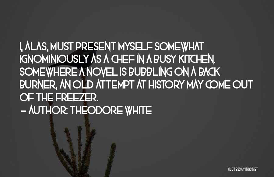 Back Burner Quotes By Theodore White