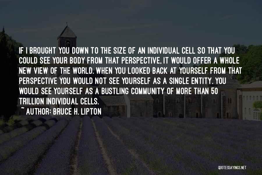Back Down Quotes By Bruce H. Lipton