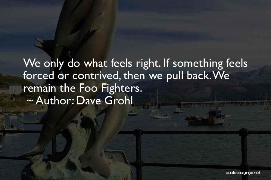 Back Fighter Quotes By Dave Grohl