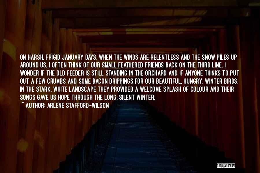 Back Friends Quotes By Arlene Stafford-Wilson