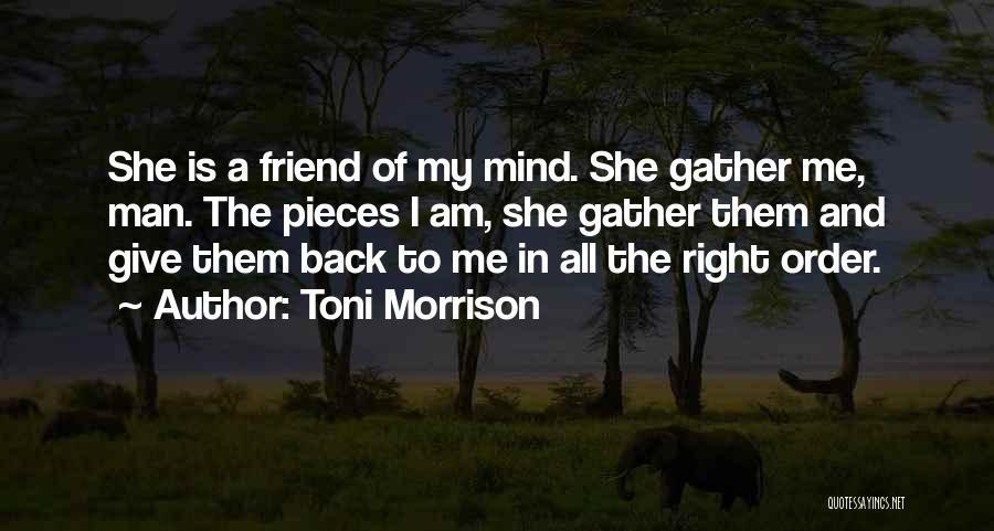 Back Friendship Quotes By Toni Morrison