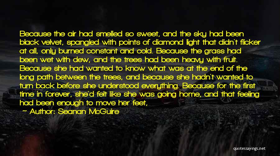 Back Home Again Quotes By Seanan McGuire