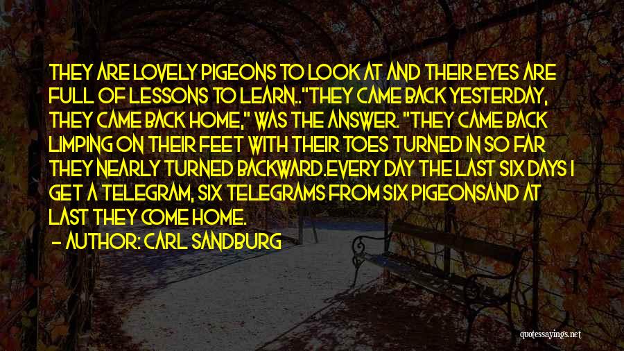 Back Home Quotes By Carl Sandburg