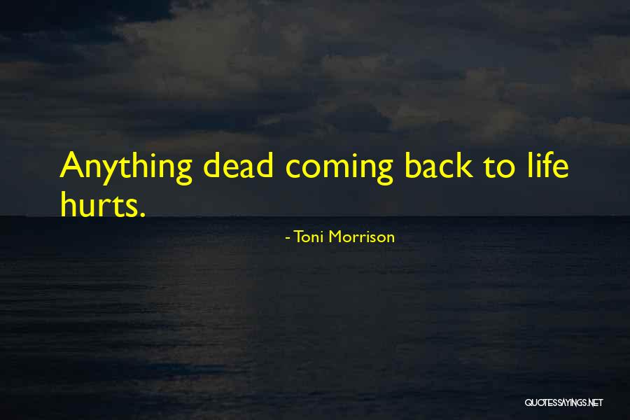 Back Hurts Quotes By Toni Morrison Back Hurts Quotes By Toni Morrison