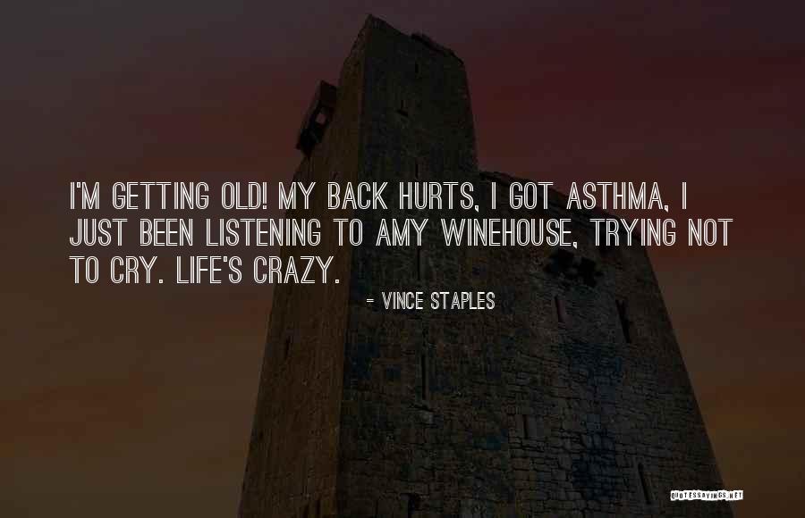 Back Hurts Quotes By Vince Staples Back Hurts Quotes By Vince Staples