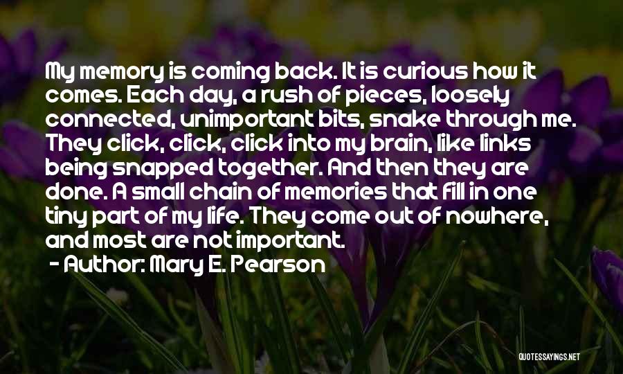 Back In Day Quotes By Mary E. Pearson