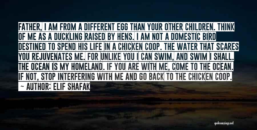 Back In My Life Quotes By Elif Shafak