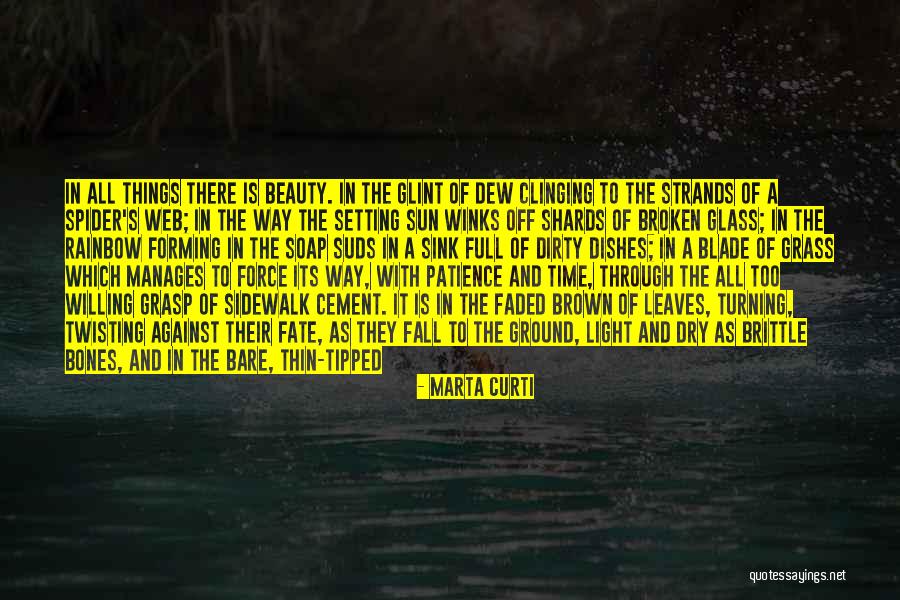 Back In Time Quotes By Marta Curti