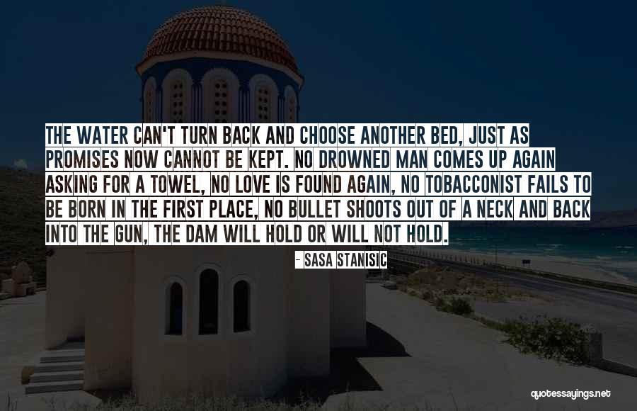 Back In Time Quotes By Sasa Stanisic