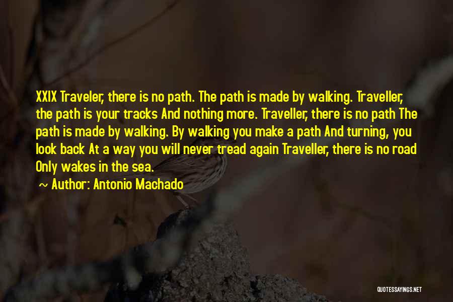 Back In Track Quotes By Antonio Machado