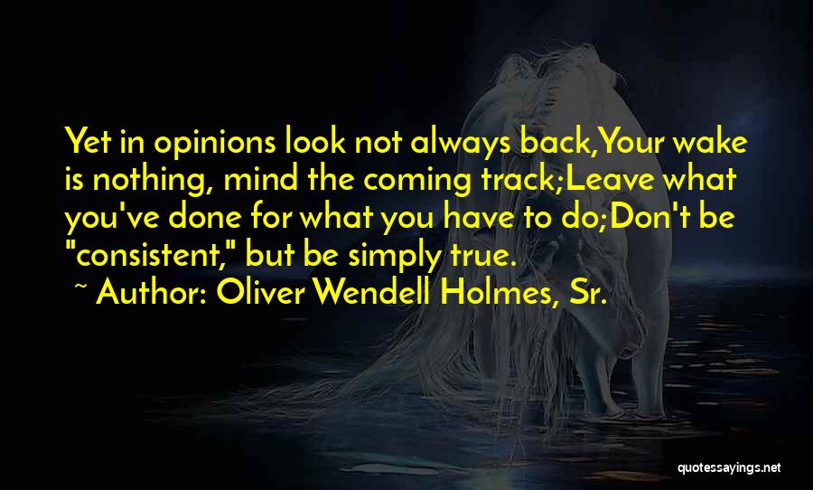 Back In Track Quotes By Oliver Wendell Holmes, Sr.