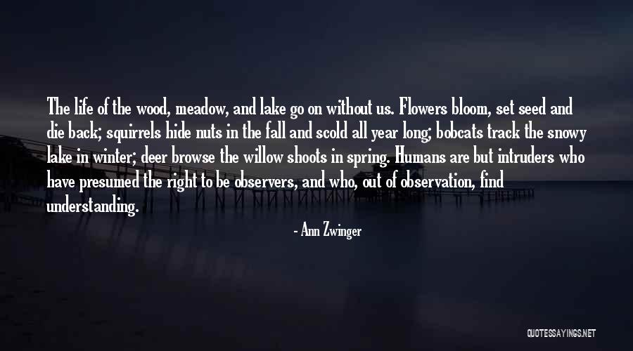 Back On The Right Track Quotes By Ann Zwinger