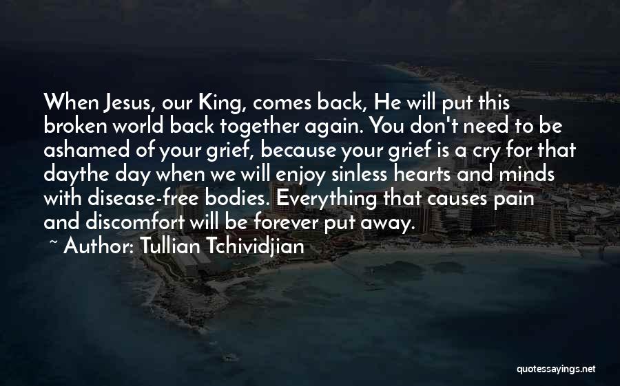 Back Pain Go Away Quotes By Tullian Tchividjian