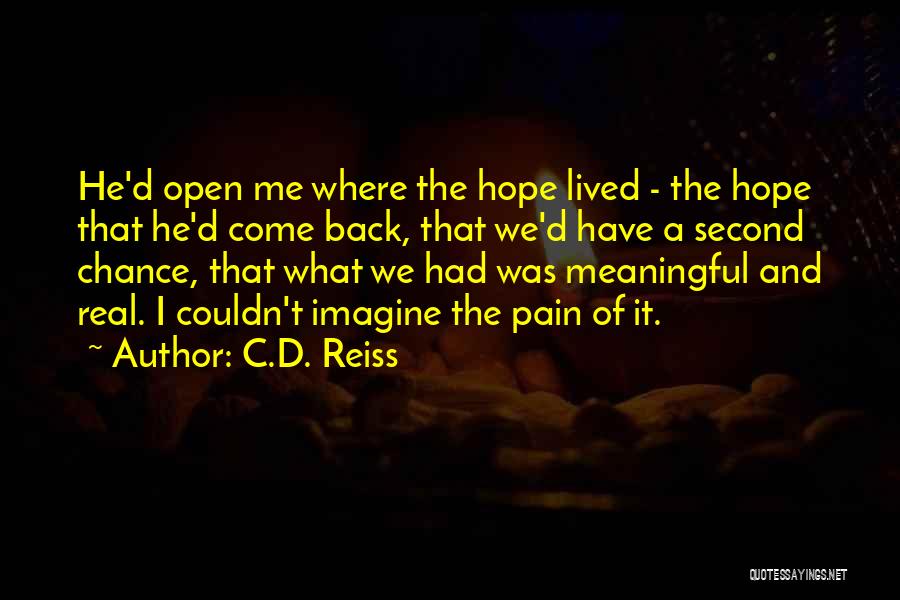 Back Pain Quotes By C.D. Reiss