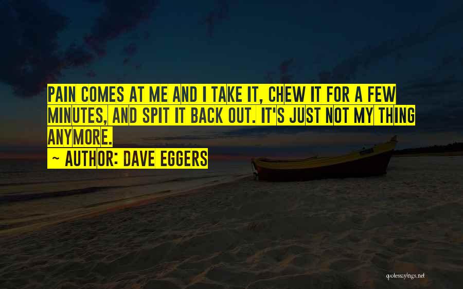 Back Pain Quotes By Dave Eggers