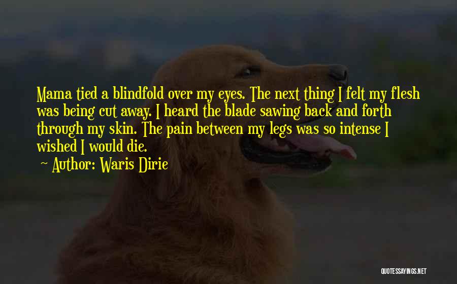 Back Pain Quotes By Waris Dirie