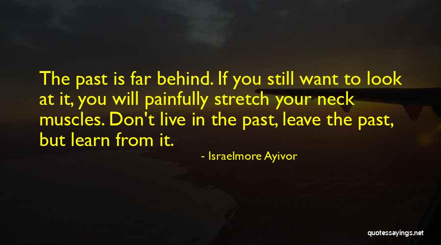 Back Pains Quotes By Israelmore Ayivor Back Pains Quotes By Israelmore Ayivor