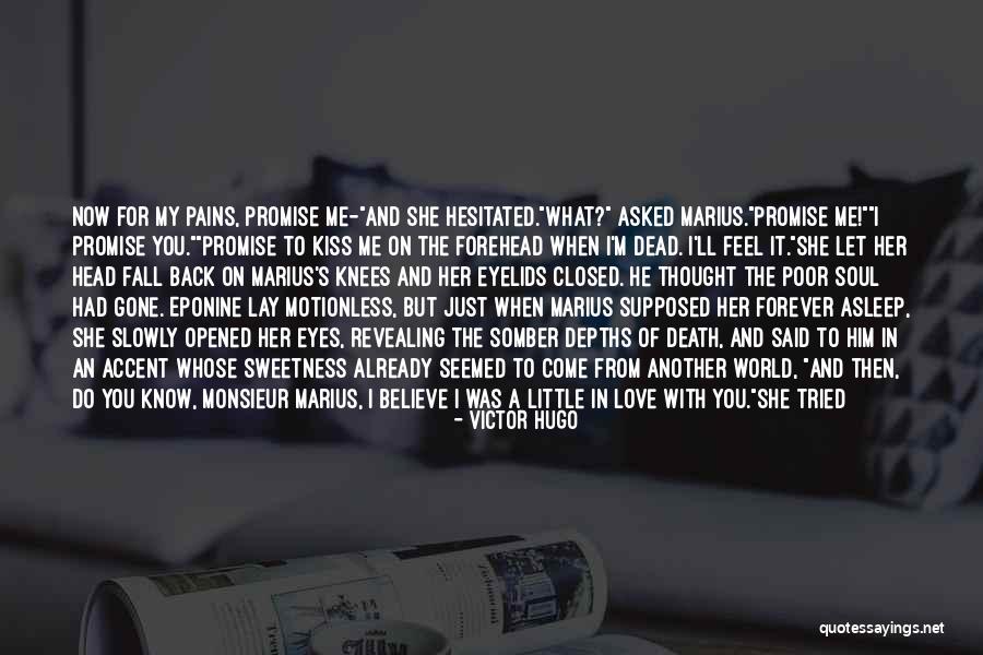 Back Pains Quotes By Victor Hugo Back Pains Quotes By Victor Hugo