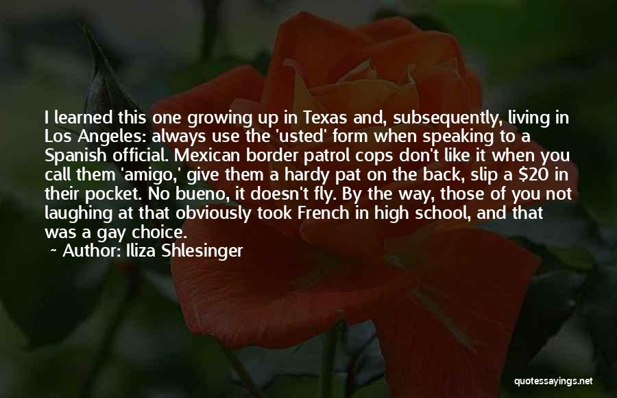 Back Pocket Quotes By Iliza Shlesinger