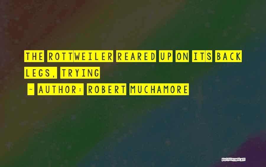 Back Quotes By Robert Muchamore