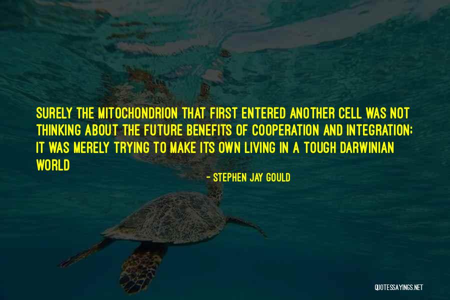 Back Spot Cheerleading Quotes By Stephen Jay Gould Back Spot Cheerleading Quotes By Stephen Jay Gould