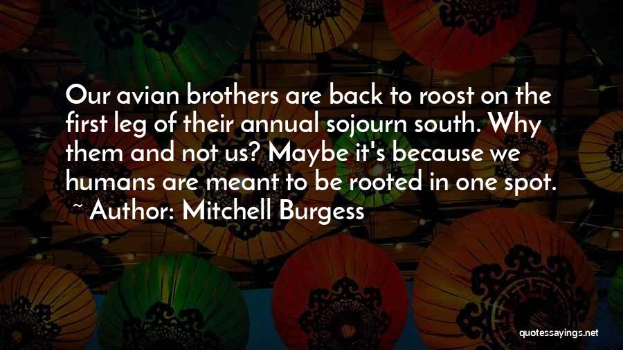 Back Spot Quotes By Mitchell Burgess