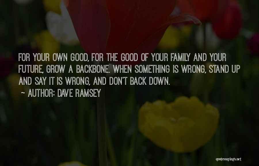 Back The Future Quotes By Dave Ramsey