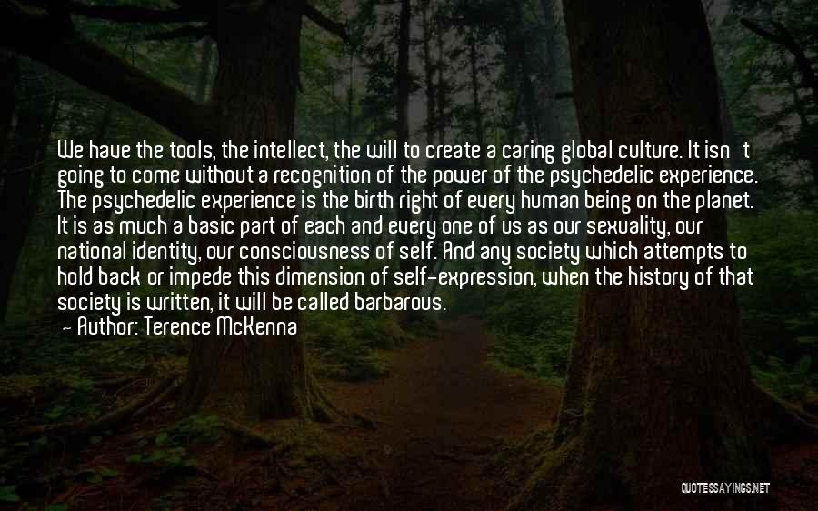 Back To Basic Quotes By Terence McKenna
