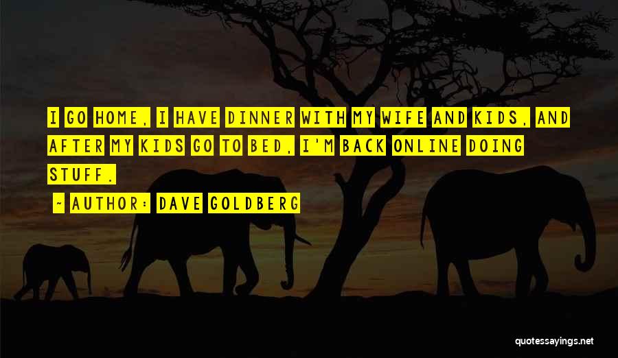 Back To My Home Quotes By Dave Goldberg