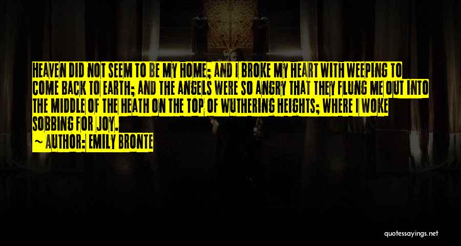 Back To My Home Quotes By Emily Bronte