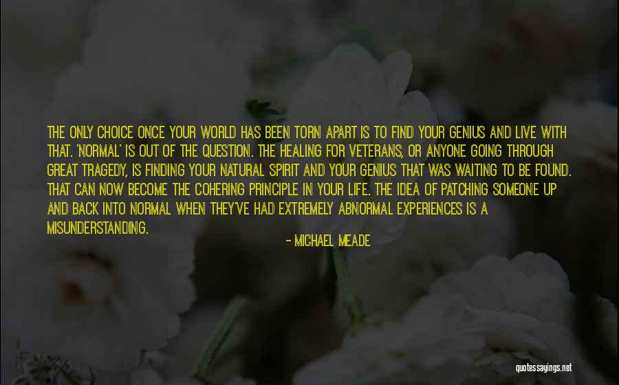 Back To Normal Life Quotes By Michael Meade Back To Normal Life Quotes By Michael Meade