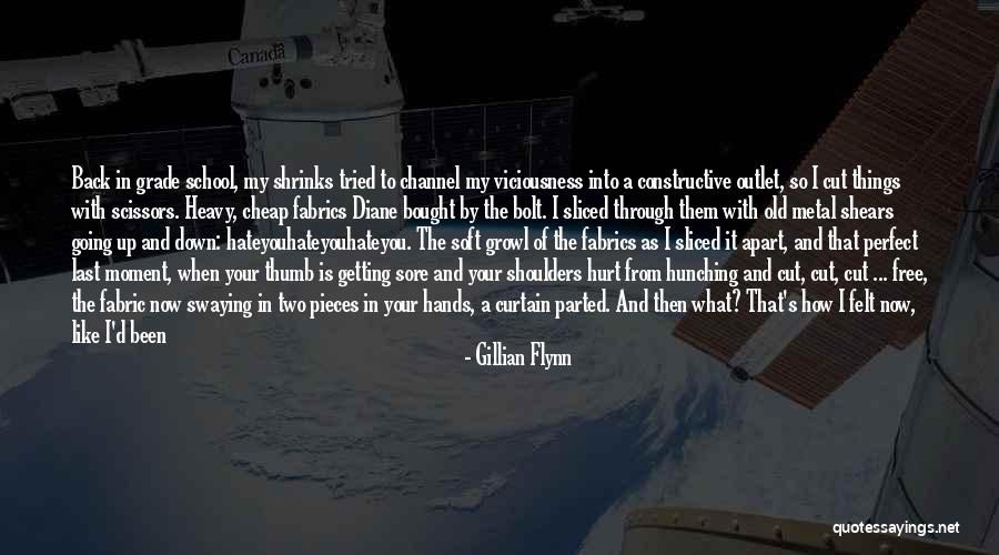 Back To School Life Quotes By Gillian Flynn