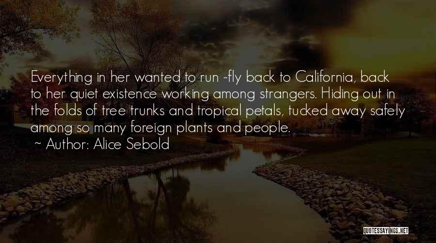 Back To Strangers Quotes By Alice Sebold
