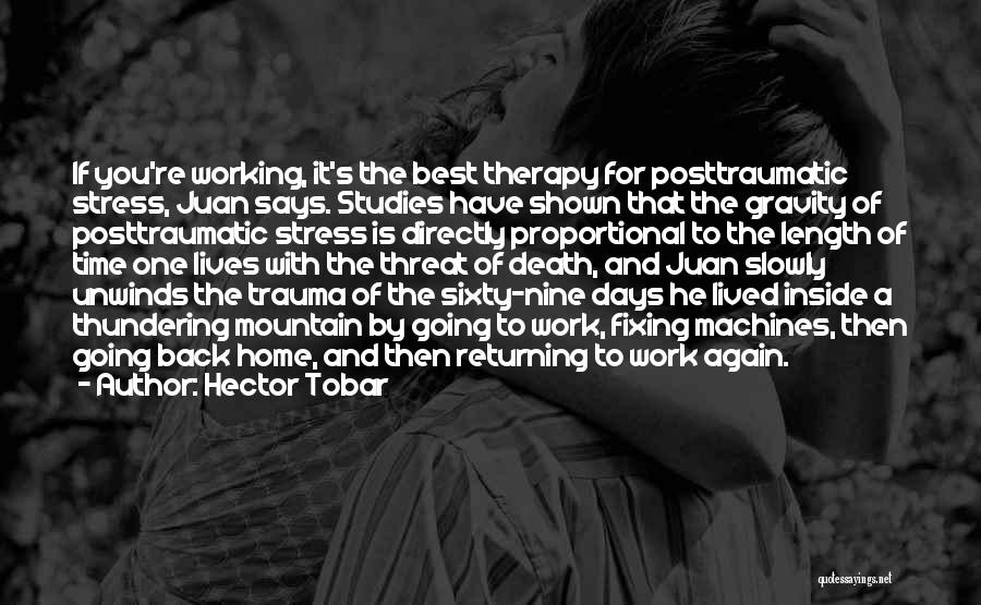 Back To Studies Quotes By Hector Tobar