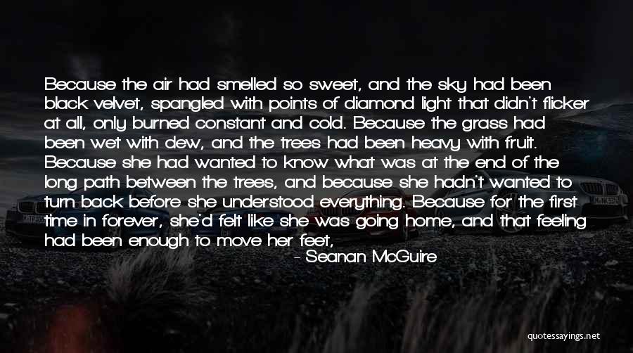 Back To Sweet Home Quotes By Seanan McGuire