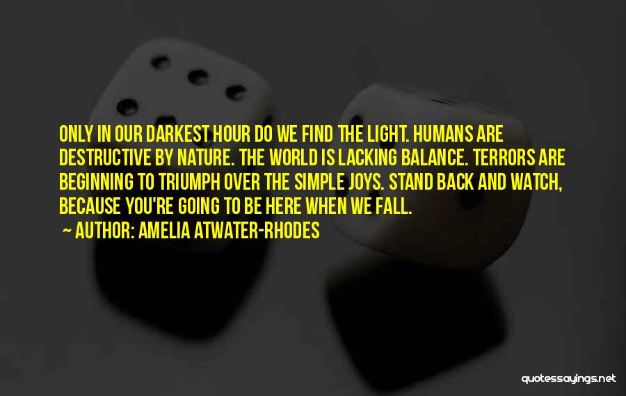 Back To The Beginning Quotes By Amelia Atwater-Rhodes